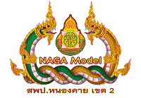 NAGA Model